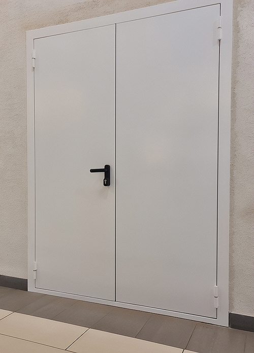 Двупольная белая дверь Двупольная белая дверь