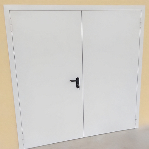 Глухая двустворчатая дверь Глухая двустворчатая дверь