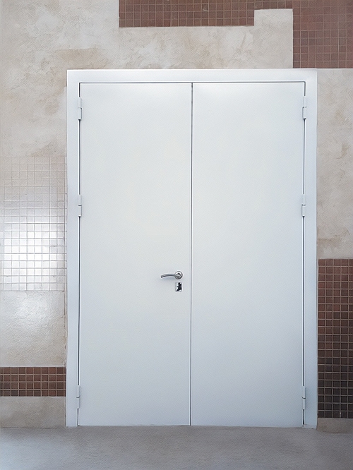 Двустворчатая техническая дверь Двустворчатая техническая дверь