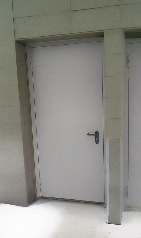 Однопольная глухая дверь Однопольная глухая дверь