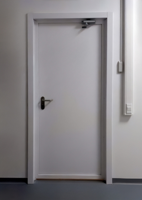 Противопожарная дверь с доводчиком Противопожарная дверь с доводчиком