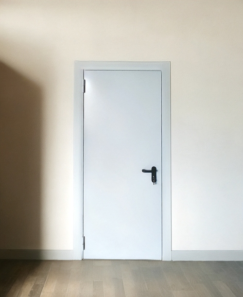 Дверь со сплошным полотном Дверь со сплошным полотном