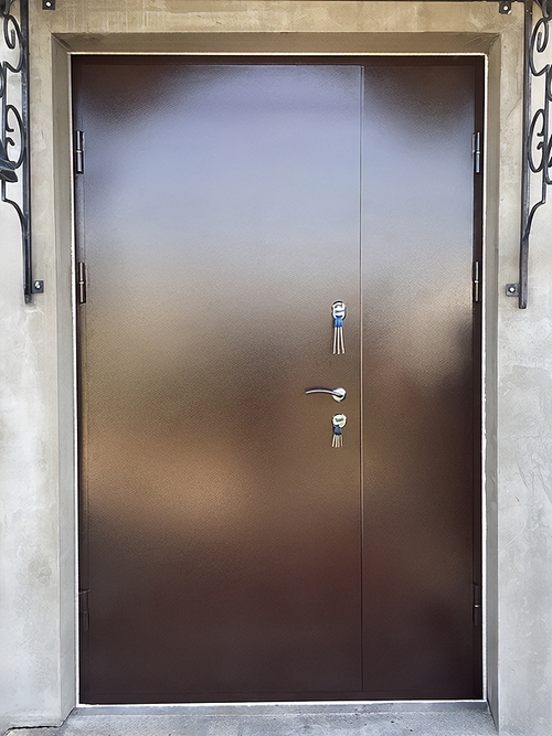 Порошковая стальная дверь Порошковая стальная дверь