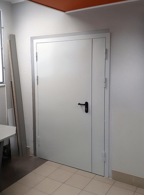 Дверь ДМП-02 Дверь ДМП-02