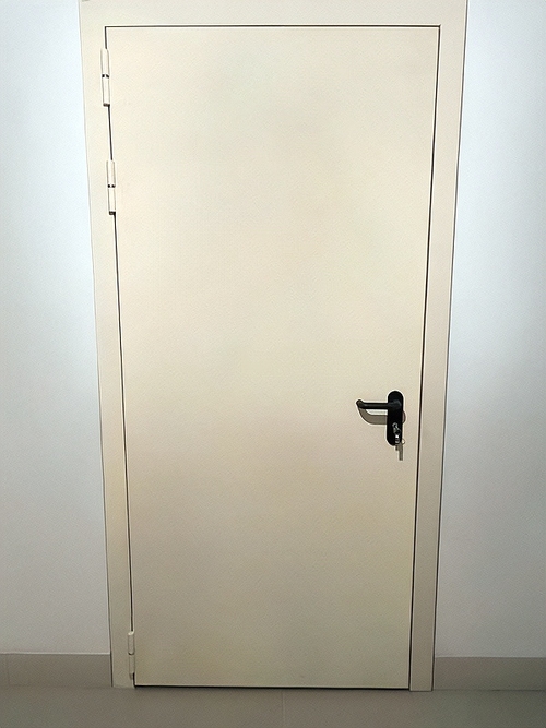 Одностворчатая глухая дверь Одностворчатая глухая дверь