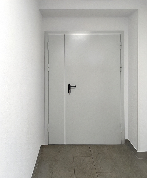 Глухая полуторная дверь Глухая полуторная дверь