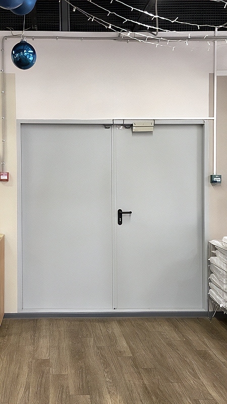 Равностворчатая служебная дверь Равностворчатая служебная дверь