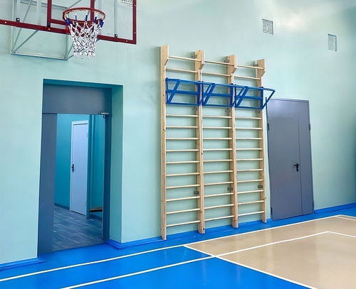 Двери ei-60 в спортзале Двери ei-60 в спортзале