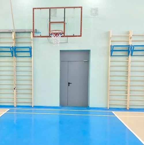 Двери ei-60 в спортзале Двери ei-60 в спортзале