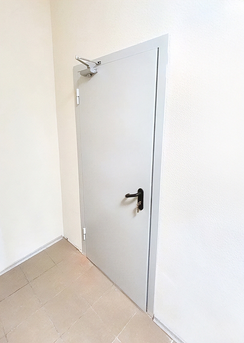 Глухая одностворчатая дверь Глухая одностворчатая дверь