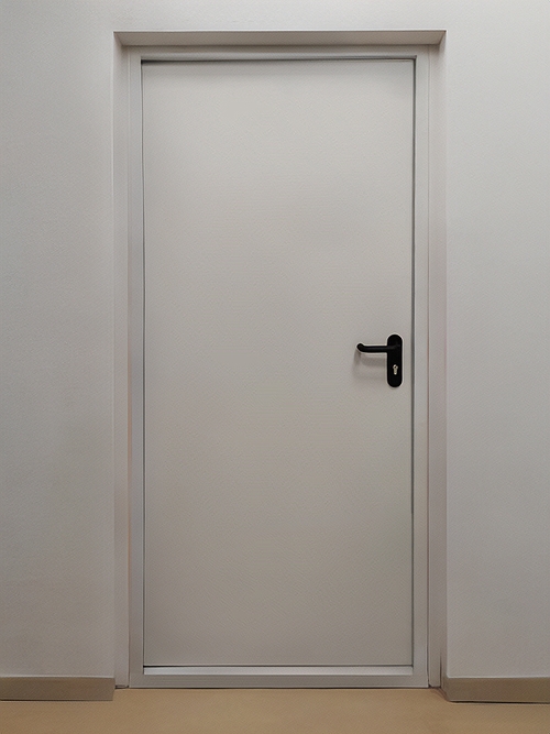 Противопожарная дверь в офисе Противопожарная дверь в офисе